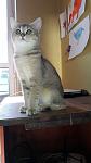    
: 20160424_102245.jpg
: 34
:	56.3 
ID:	11156343