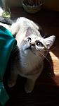     
: 20160512_085410.jpg
: 42
:	56.8 
ID:	11156345