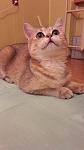     
: 20160425_224937.jpg
: 36
:	60.2 
ID:	11156346