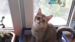     
: 20160512_085641[1].jpg
: 33
:	131.7 
ID:	11156347