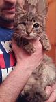    
: 20160503_210806-1.jpg
: 29
:	57.8 
ID:	11157163