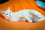     
: _DSC0772.jpg
: 14
:	66.3 
ID:	11157675