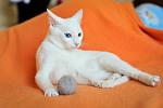     
: _DSC0777.jpg
: 19
:	66.3 
ID:	11157676