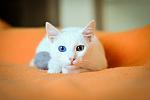     
: _DSC0757.jpg
: 15
:	56.2 
ID:	11157677
