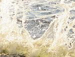     
: IMG_3354.jpg
: 30
:	225.8 
ID:	11160482