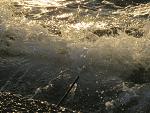     
: IMG_3374.jpg
: 31
:	247.2 
ID:	11160483