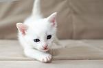     
: ho57IwX5S7VOeepNM75tGTf1NeS9PU39RPQn4CgnXPk.jpg
: 6
:	36.6 
ID:	11161359