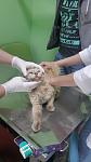     
: 20160515_140438.jpg
: 75
:	53.2 
ID:	11162461