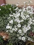     
: IMG_1238.jpg
: 10
:	152.9 
ID:	11162705