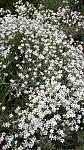     
: 20160514_174955.jpg
: 7
:	203.1 
ID:	11164851