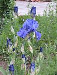     
: IMG_1253.jpg
: 22
:	112.7 
ID:	11165439