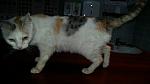     
: 20160516_141732.jpg
: 63
:	52.6 
ID:	11165536
