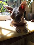     
: IMG-20160516-WA0008.jpg
: 10
:	78.0 
ID:	11165633