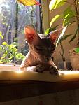     
: IMG-20160516-WA0007.jpg
: 10
:	82.6 
ID:	11165635