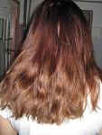    
: IMG_6675.jpg
: 19
:	83.6 
ID:	11165638