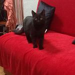     
: n0oZQMhHIXk.jpg
: 31
:	168.5 
ID:	11168205
