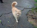     
: 8i3qRfD2vzo.jpg
: 13
:	238.5 
ID:	11170043