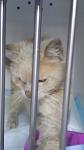     
: 20160518_154246.jpg
: 14
:	39.7 
ID:	11171691