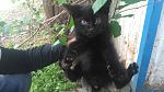     
: DSC_0648.jpg
: 20
:	114.7 
ID:	11174592