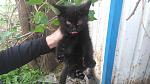     
: DSC_0649.jpg
: 26
:	105.5 
ID:	11174593