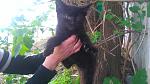     
: DSC_0647.jpg
: 28
:	106.1 
ID:	11174594
