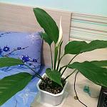     
: YkKwNx9HzCg.jpg
: 148
:	267.1 
ID:	11175359