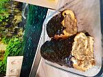     
: 20160520_002244.jpg
: 74
:	164.5 
ID:	11176479