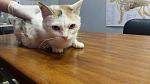     
: 20160520_112359.jpg
: 62
:	85.9 
ID:	11177414