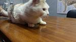     
: 20160520_112405.jpg
: 65
:	65.6 
ID:	11177415