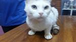     
: 20160520_112410.jpg
: 68
:	62.2 
ID:	11177418