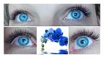     
: FotorCreatedi7775.jpg
: 14
:	64.2 
ID:	11181884