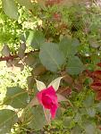     
: image.jpg
: 6
:	65.7 
ID:	11182568