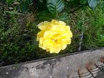     
: image.jpg
: 13
:	109.3 
ID:	11182575