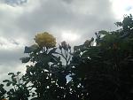     
: image.jpg
: 12
:	68.2 
ID:	11182576