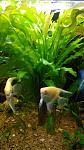     
: 2016522203500.jpg
: 122
:	83.7 
ID:	11182617