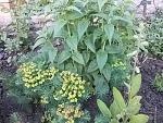     
: 20160523_185417.jpg
: 6
:	245.1 
ID:	11185332