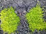     
: 20160523_185028.jpg
: 10
:	233.7 
ID:	11185333