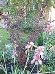     
: 20160523_190215.jpg
: 4
:	183.2 
ID:	11185344