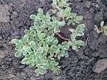     
: 20160523_185023.jpg
: 7
:	183.2 
ID:	11185347