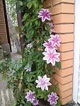     
: 20160523_152650.jpg
: 4
:	120.9 
ID:	11185358