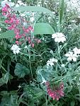     
: 20160523_185234.jpg
: 3
:	137.3 
ID:	11185381