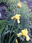    
: 20160523_185210.jpg
: 5
:	154.2 
ID:	11185382