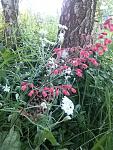     
: 20160523_185351.jpg
: 4
:	158.4 
ID:	11185384