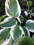     
: 20160523_185331.jpg
: 4
:	98.1 
ID:	11185386