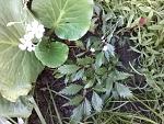     
: 20160523_185317.jpg
: 5
:	171.7 
ID:	11185388
