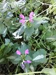     
: 20160523_185250.jpg
: 5
:	119.7 
ID:	11185389