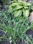     
: 20160523_185437.jpg
: 4
:	168.0 
ID:	11185415