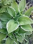     
: 20160523_185112.jpg
: 1
:	127.0 
ID:	11185416