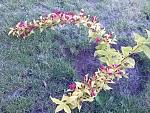     
: 20160523_185123.jpg
: 3
:	307.4 
ID:	11186087
