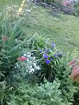     
: 20160524_061047.jpg
: 4
:	152.0 
ID:	11186088